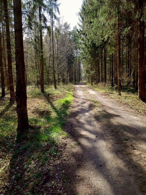 Domek Z Bala Mazury Orzyny Экстерьер фото